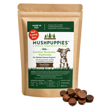 MushPuppies Training Bites - Dog Biscuits With Coriolus Versicolor Mushroom